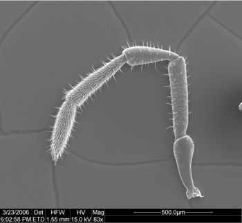 Media type: image;   Invertebrate Zoology 134693